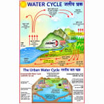 Water Cycle In Nature Chart